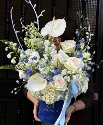 composition in a box